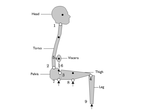 Biomechanical Model of the Human Body in a Sitting Posture