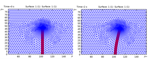 Fluid-Structure Interaction